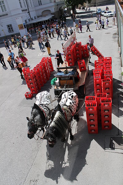 Stiegl Noriker Belieferung Alststadt