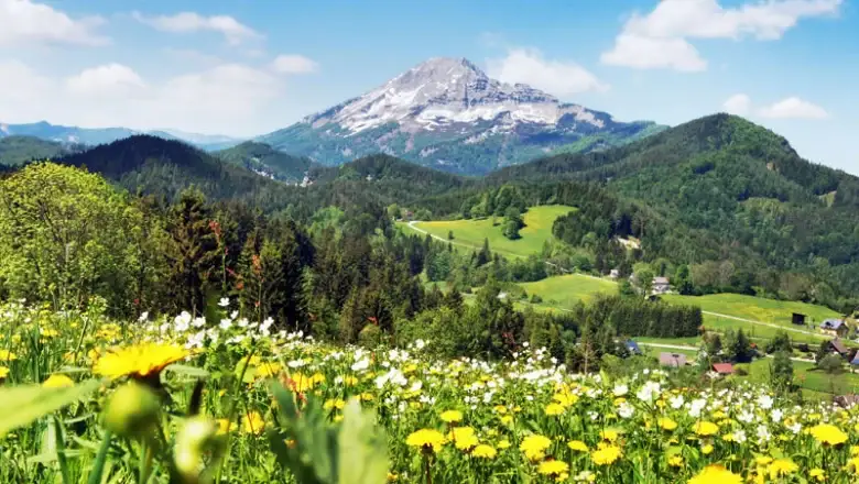 oetscher weinfranz.at