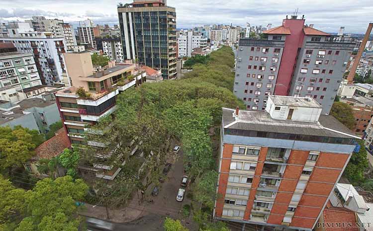 Rua Gonçalo de Carvalho szoveg 03
