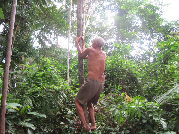 amazonas tormenta de viento 147