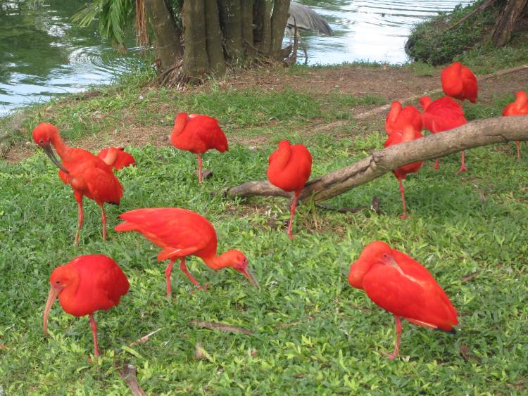 amazonas tormenta de viento 2