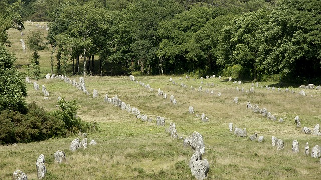 carnac 3