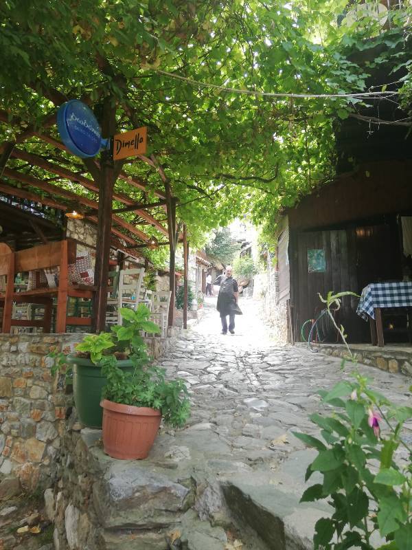 paralia 7