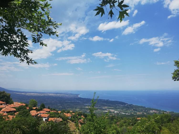 paralia 8