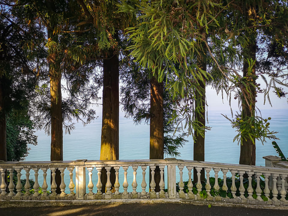 Batumi botanikus kert2