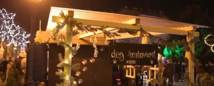 horvatorszag zagrab advent 21