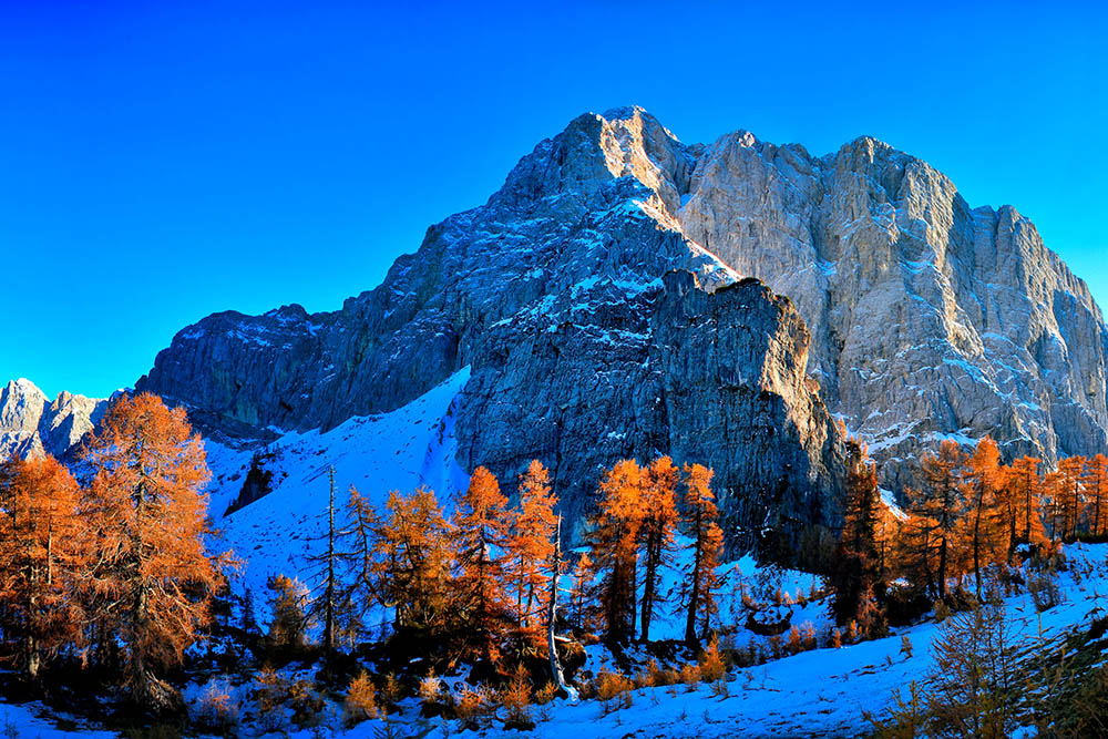 kranjska gora kozepso