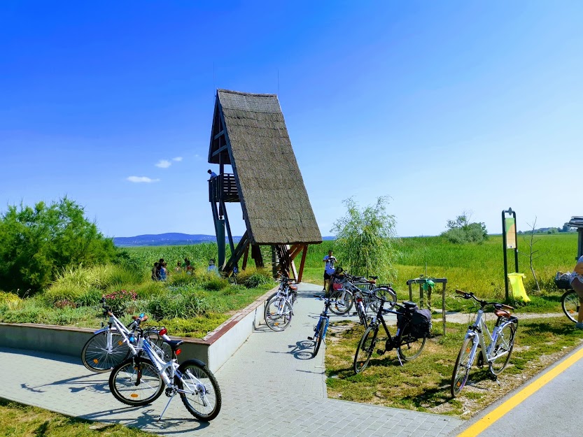 Velencei tó Madárfigyelő