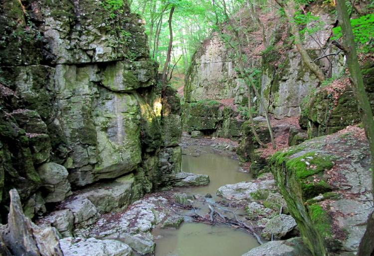 bakony Római fürdő