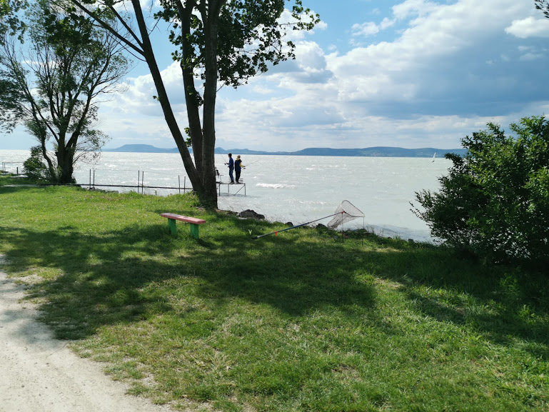 balatoni pecások a stégen