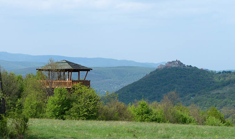 banya teto kilato