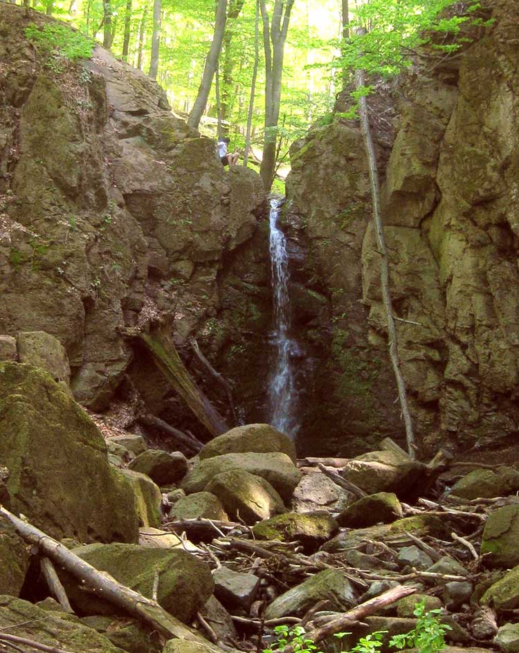 ilona volgyi vizeses