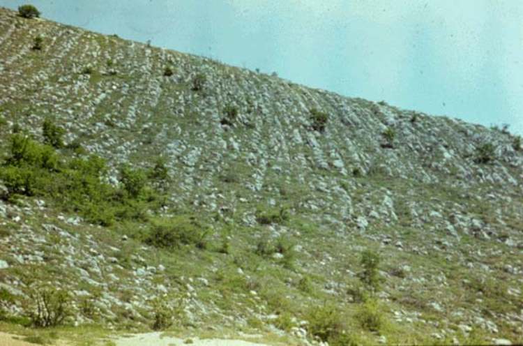 magyarorszag baranya villanyi hegyseg ordogszantas1