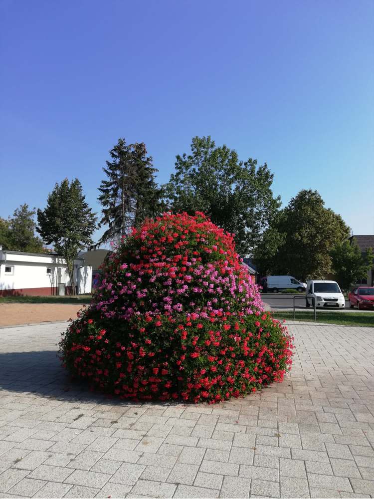 magyarorszag furdo hajduszoboszlo muskatli