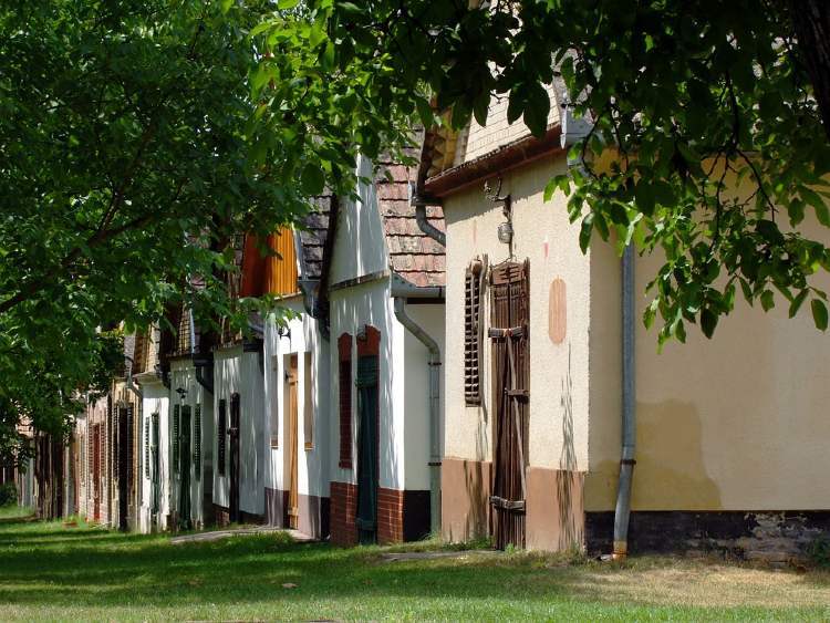 mo tolna pince boraszat