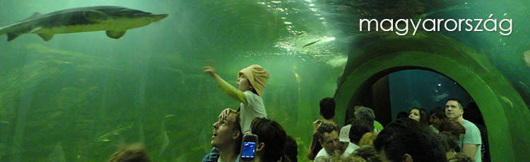 tiszatavi okcentrum header