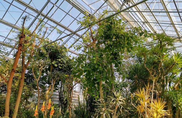 vacratoti arboretum 02