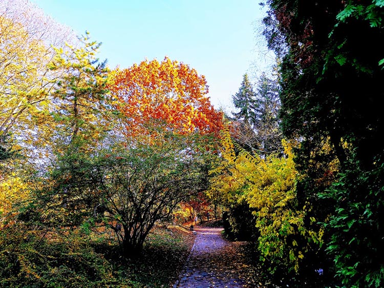 vacratoti arboretum 03