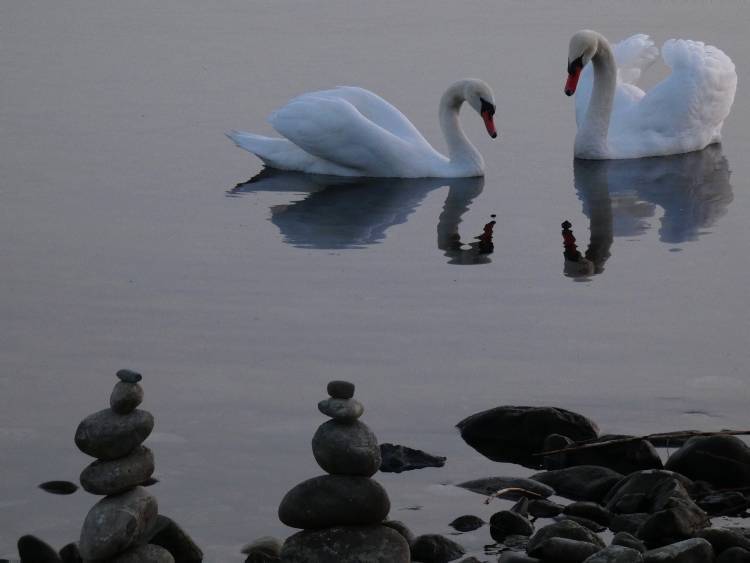 Bodensee meghökkentő 10