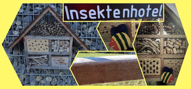 Bodensee meghökkentő 12