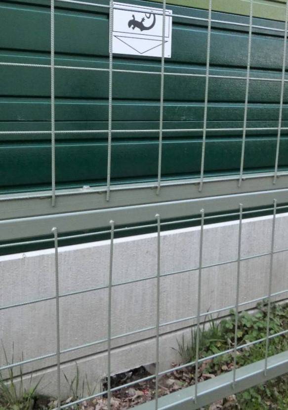 Bodensee meghökkentő 16