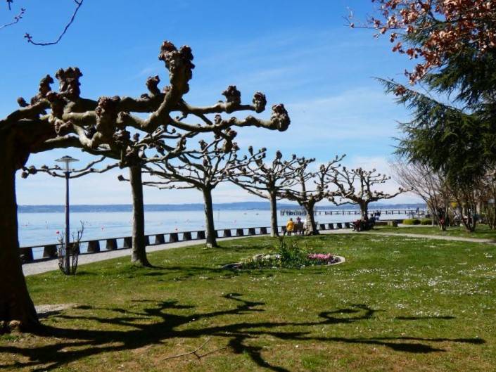 Bodensee meghökkentő 6