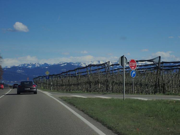 Bodensee meghökkentő 8