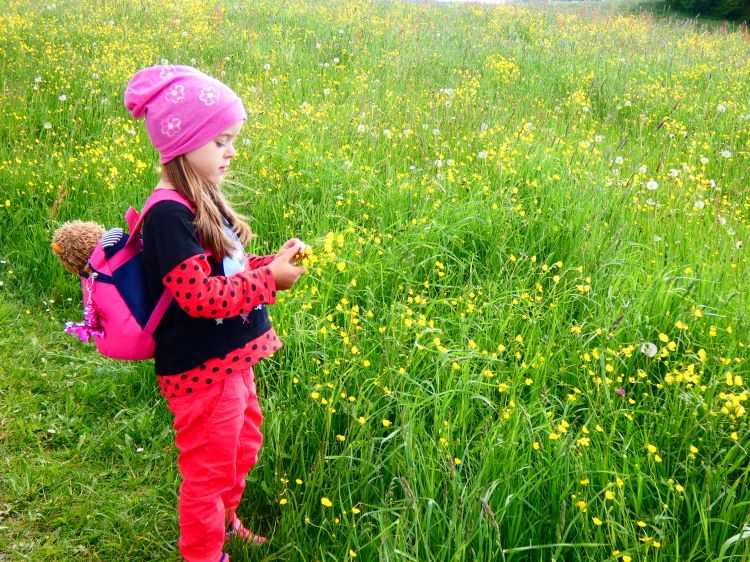 Egy mesés kirándulóhely Scheidegg14