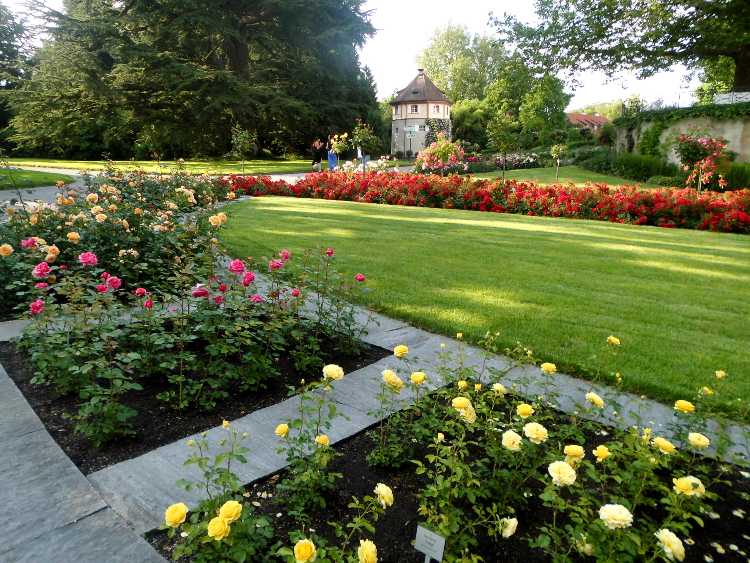 Mainau virágsziget13