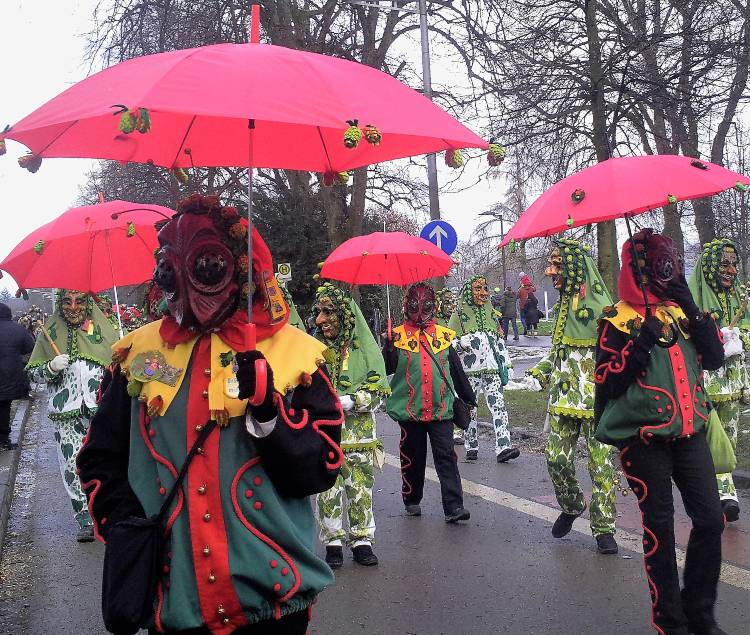 Narrentreffen a Bodenseenál 3