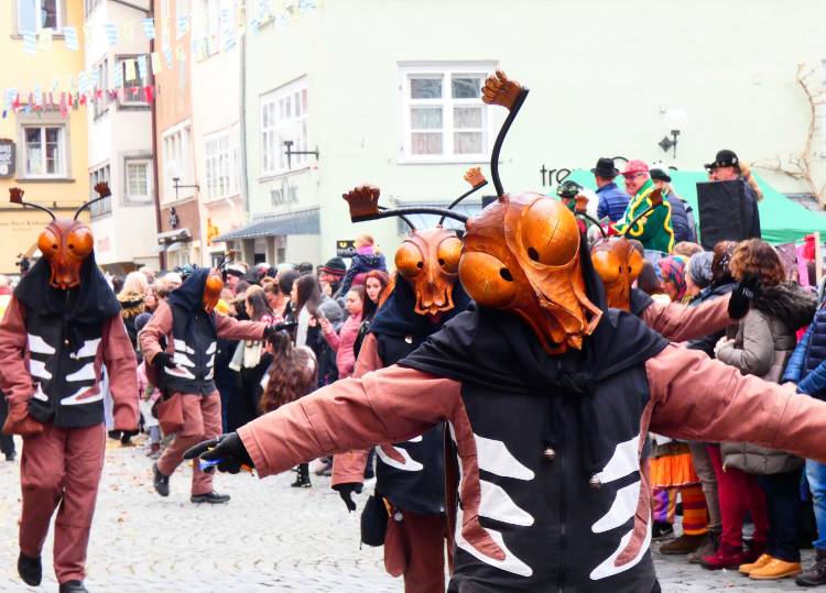 Narrentreffen a Bodenseenél 13