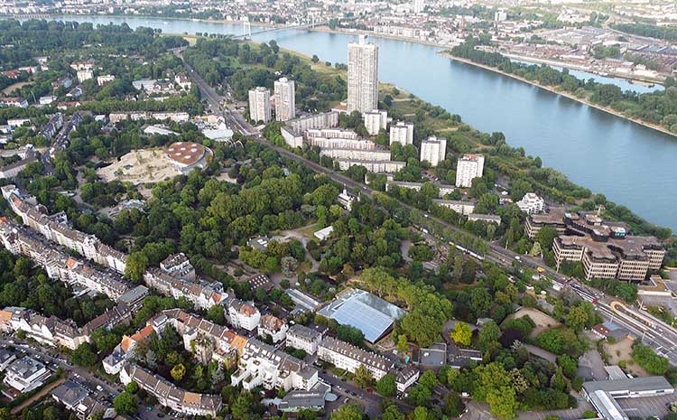koln allatkert