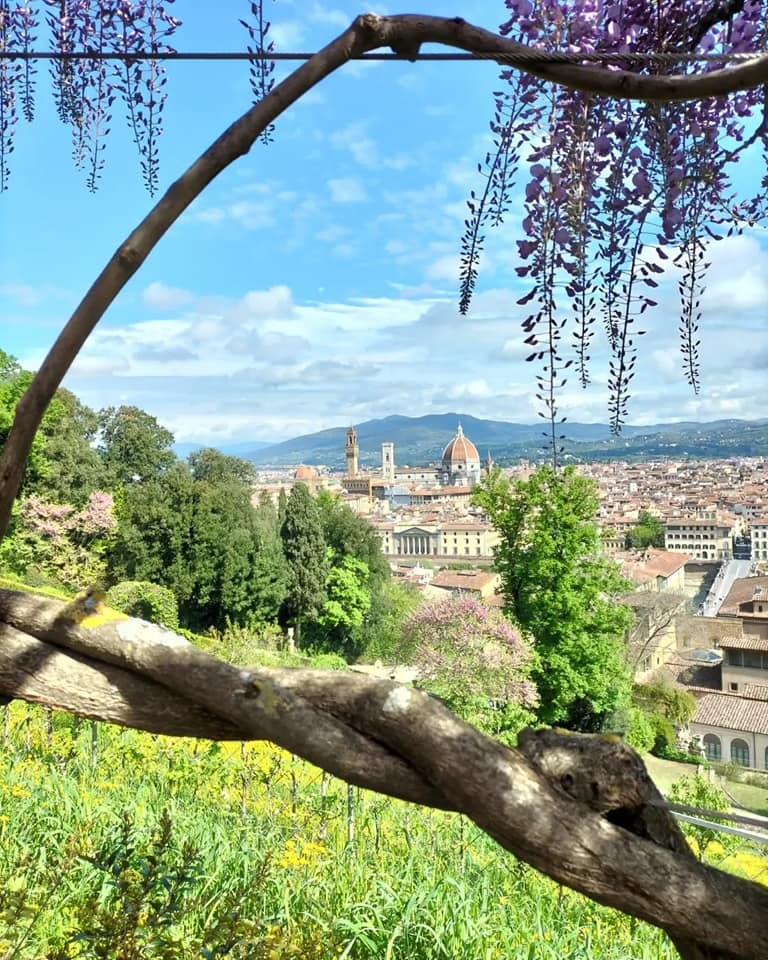 Firenze bardini kert1