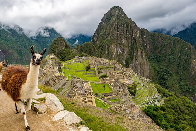 Machu Picchu 01