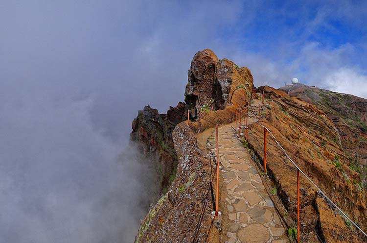 PicodeArieiro madeira