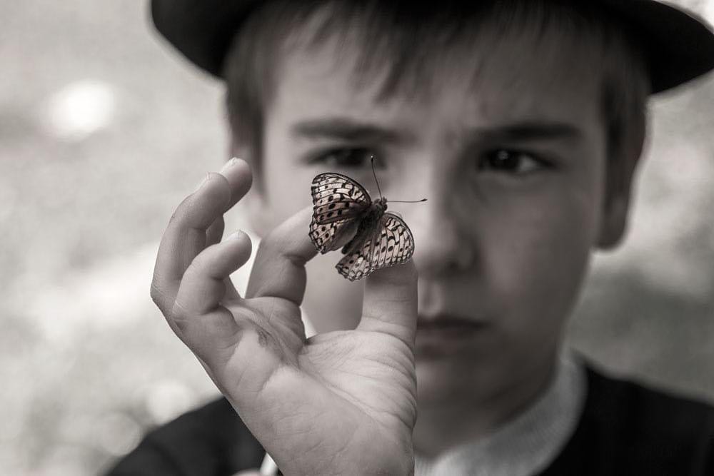 Kristóf pillangót fog