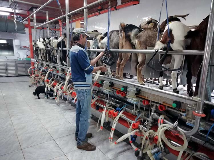 Fuerteventura rita 02