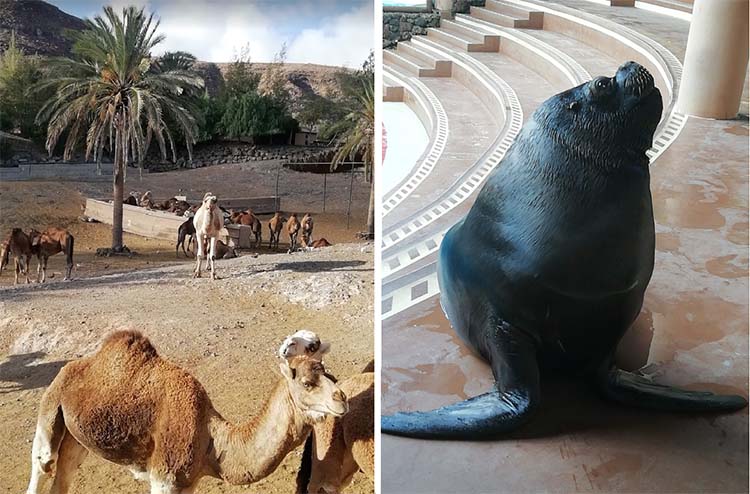 Fuerteventura rita 04