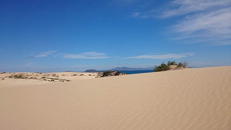 corralejo 01