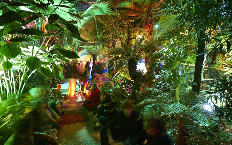 bern botanical garden