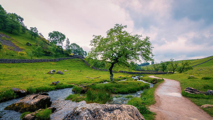 Yorkshire Dales