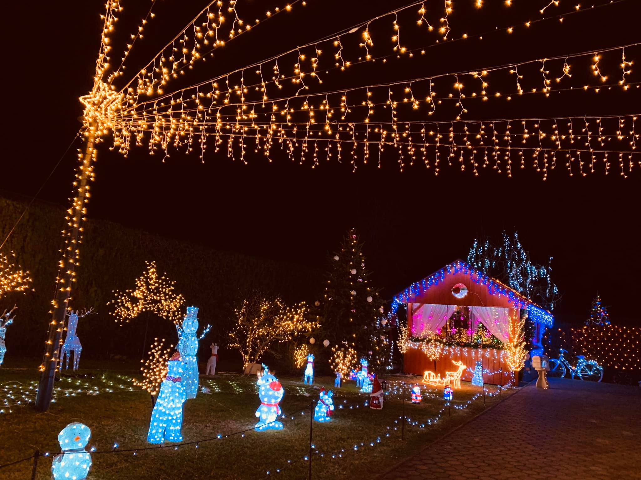 Dabas Hudák Valéria