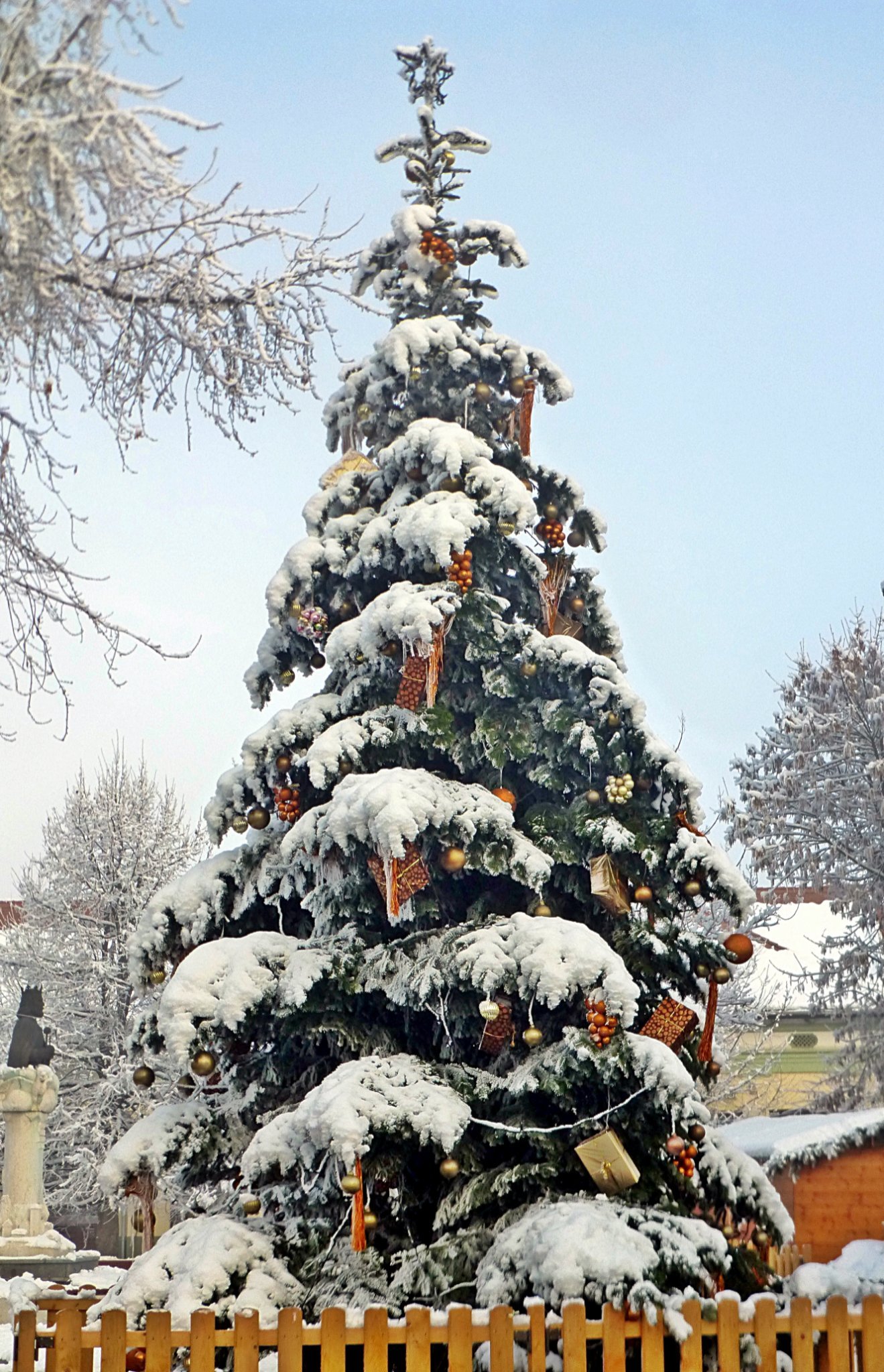 Orosháza Kőhidiné Marika